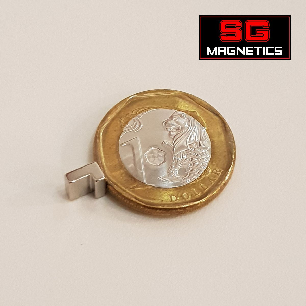 6.2x3.7x5.9mm N52 - Special Shaped Magnets 5pcs/pack
