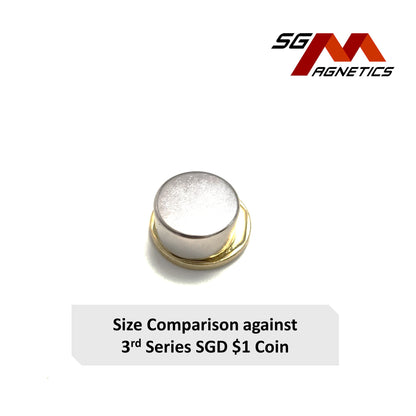 20x10mm N35 - Neodymium Disc Magnets - 2pcs